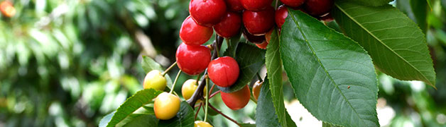 imtoken下载_imtoken网址_imtoken钱包app